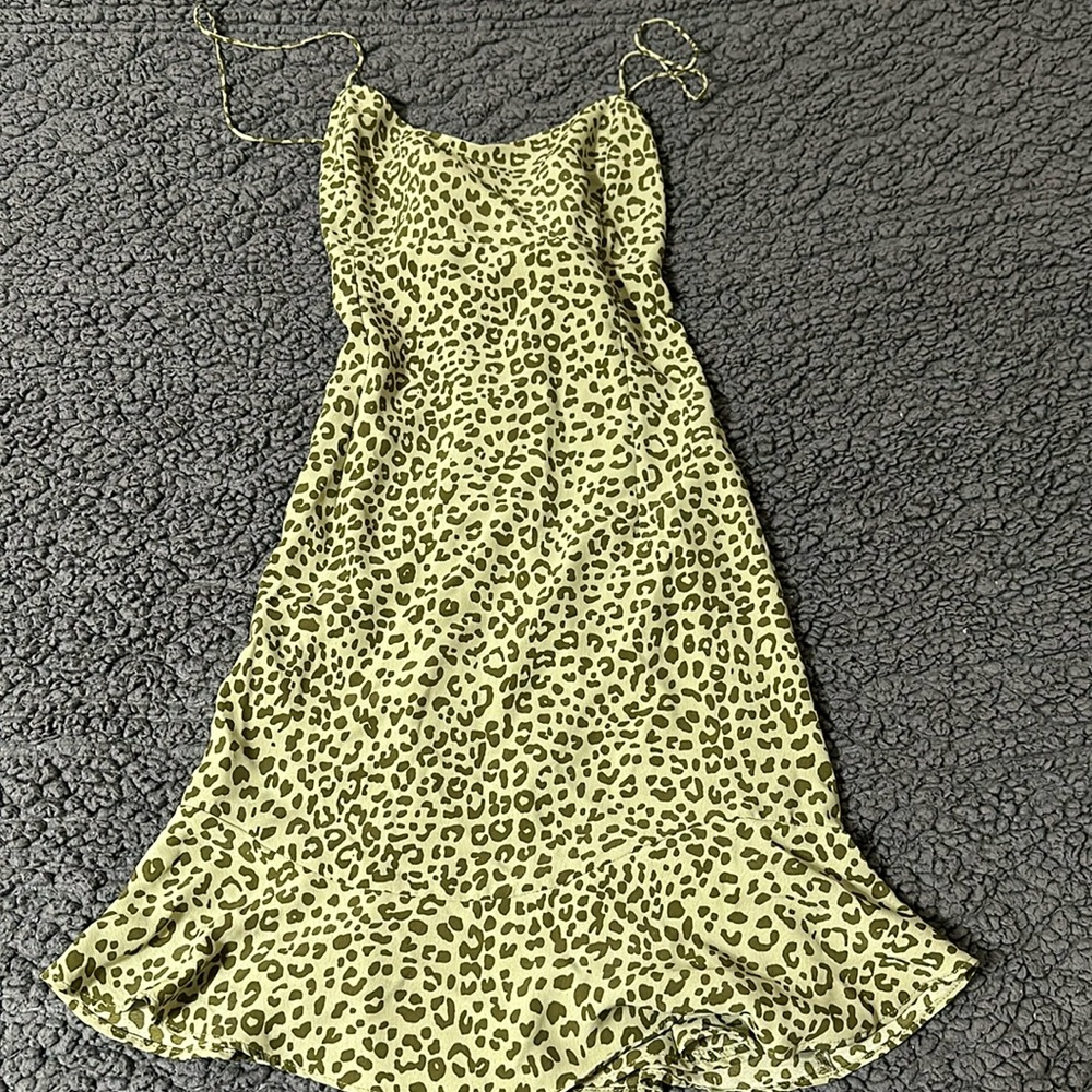 Cheetah print green Zara dress
